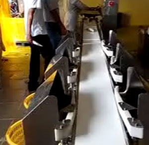 鯧魚(yú)重量分揀機(jī)
